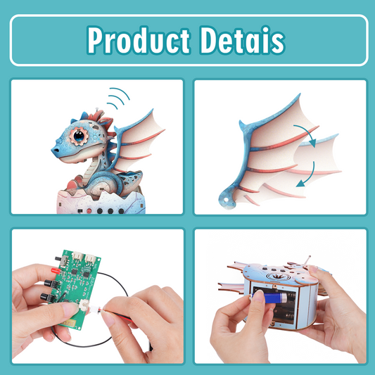 Danzailong——Bluetooth Speaker & Radio Series