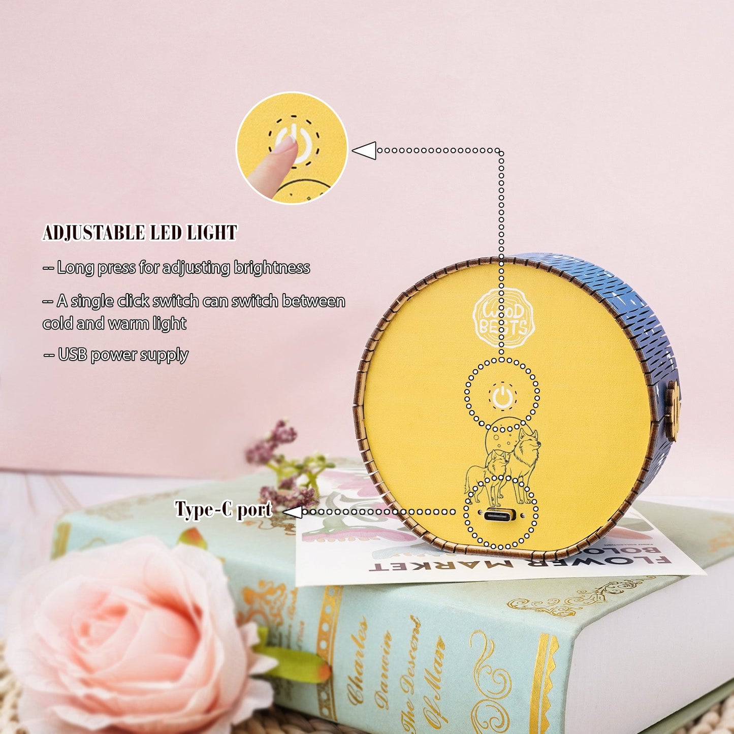 Close-up of adjustable LED light features on the Golden Moon Dream Kit with USB power supply and switch details.